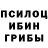 Галлюциногенные грибы прущие грибы Jan Pulo
