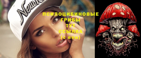 ешки Алексин